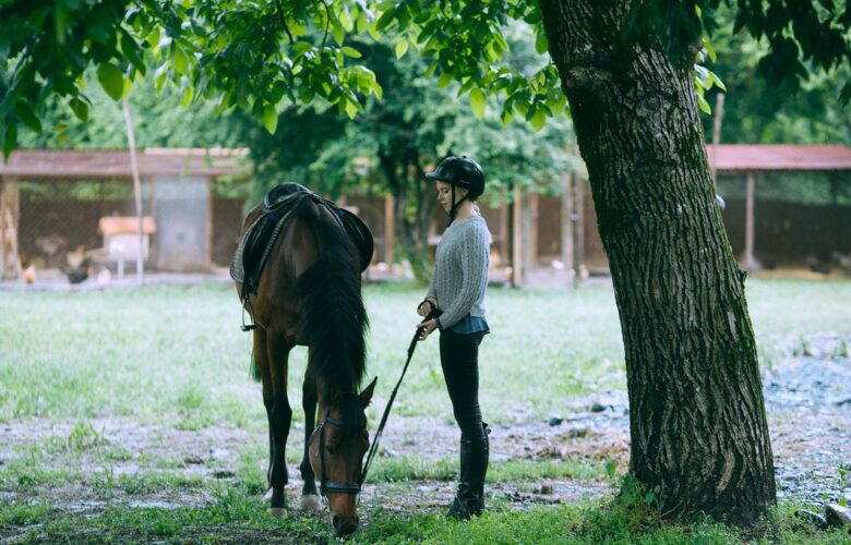 Horse riding: safety equipment