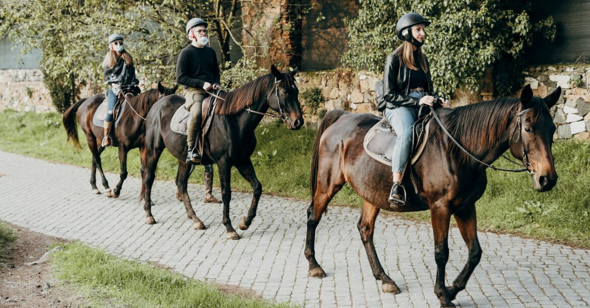 persons in horse tour